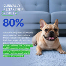 Load image into Gallery viewer, Cranberry for Dogs - 90 Soft Chews - Urinary Tract Support, Bladder Health, Dog UTI, Bladder Stones, Incontinence Support (Soft Chews)