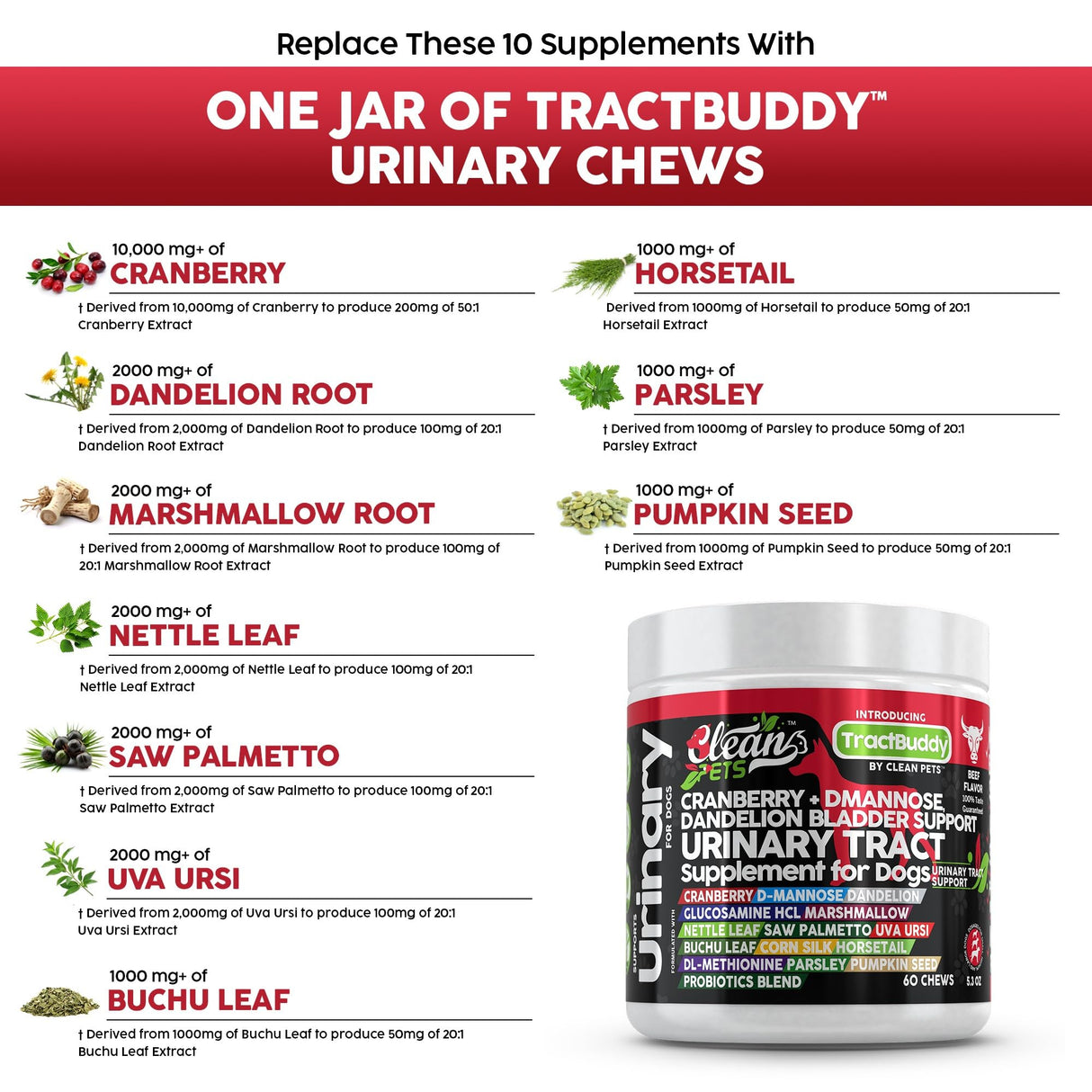 Clean Pets Cranberry for Dogs Urinary Tract Support | D-Mannose UTI Bladder Stones Dandelion Glucosamine HCL Marshmallow Nettle Leaf Saw Palmetto Uva Ursi Buchu Horsetail Methionine Parsley Supplement