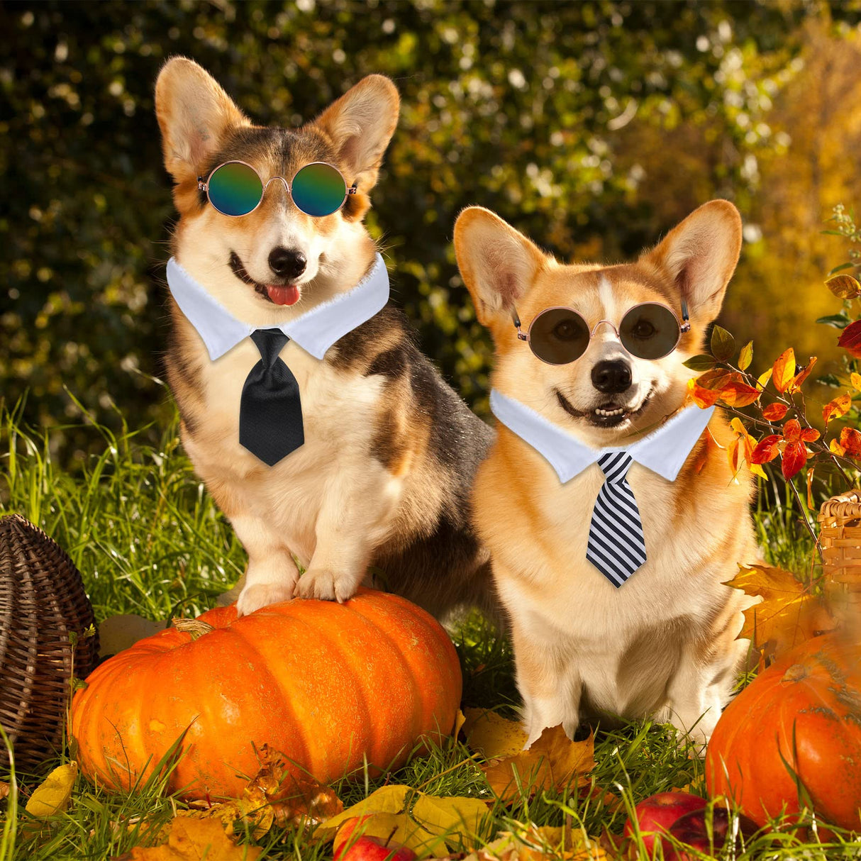 Weewooday 8 Pcs Pet Dog Cat Costume Cat Tie Collar Glasses for Small Dogs Round Metal Classic Retro Sunglasses Tie Pet Costume Tuxedo Necktie Collar Puppy Accessories Halloween Cosplay Party
