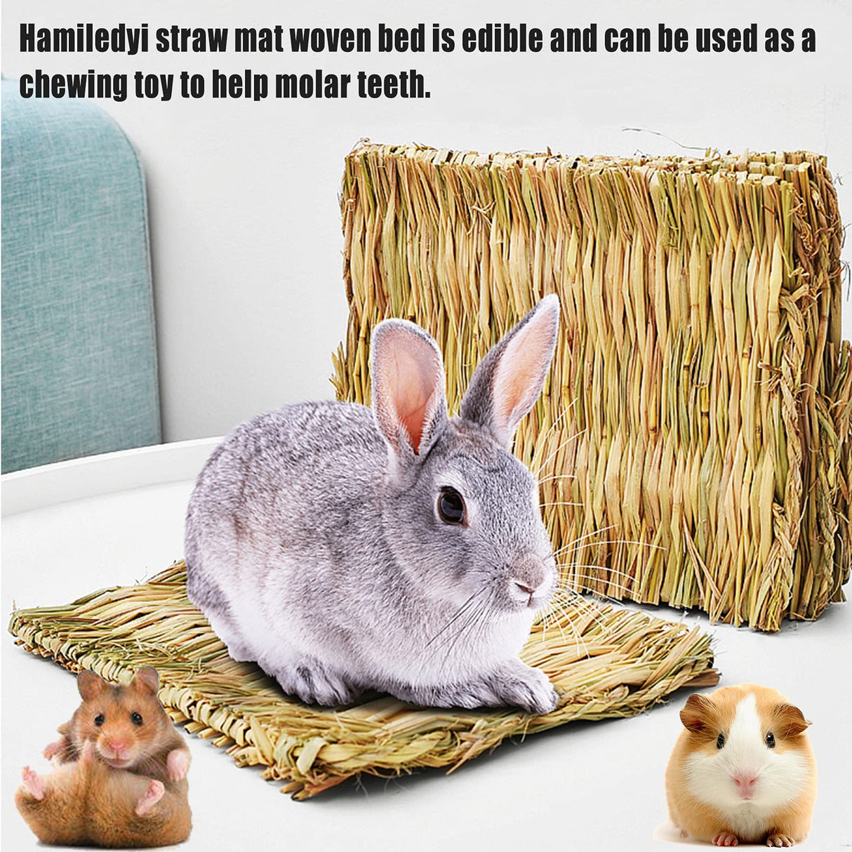 Hamiledyi 20 Pack Bunny Grass Mat Woven Bed Mat Natural Straw Hay Mats Rabbit Handmade Bedding Sleeping Grinding Nesting and Chewing Toy for Guinea Pig Hamster Chinchilla Squirrel Hedgehog