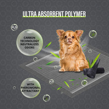 Load image into Gallery viewer, COCOYO Dog Training Pads 丨 Carbon Absorb Eliminating Urine Odor Doggie Training Pads 丨 Premium Charcoal Dog Pee Pads (100 Count, 22x22 inch),Gray