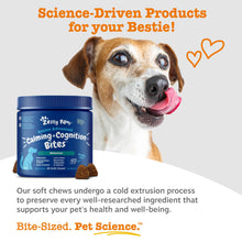 Load image into Gallery viewer, Zesty Paws Senior Advanced Calming & Cognition Soft Chews for Dogs - Supplements for Dog Brain Health & Nervous System Support + Calming & Relaxation -with Ashwagandha, DHA & Melatonin