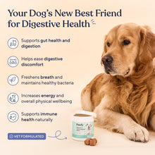 Load image into Gallery viewer, Pawfy Probiotics for Dogs | Supports Digestive Health, Diarrhea for Small, Large Dogs | Improves Gut Health | Anti Yeast Supplements | Skin Health Seasonal Allergies Support - 30 Chews (Bacon)