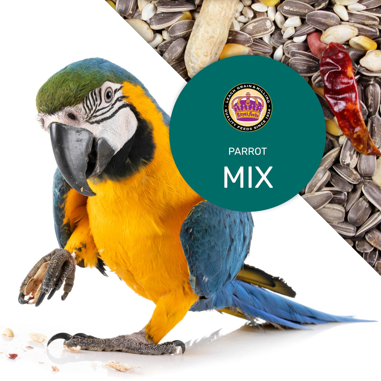 Parrot Mix 5 Lbs, Premium Parrot Food, Nutrient-Rich Blend Birdseed, Supports Energy, Growth & Digestive Health, Tasty and Enjoyable Mix Parrot Food for Healthy & Balanced Diet
