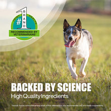 Load image into Gallery viewer, Nutramax Laboratories Dasuquin with MSM Chewable Tablets For Small/Medium Dog