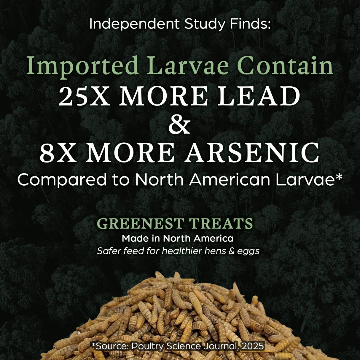 Dried Black Soldier Fly Larvae for Chickens & Ducks – Treats for Ducks, Hens, Wild Birds, Lizards, Tortoises & Fish – All Natural High Protein & Calcium – Mealworms Alternative – Made in North America