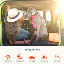 Load image into Gallery viewer, ARCA PET Cat & Dog First Aid Kit for Car - Pet Emergency Kit for Home Office Travel – Dog Camping Essentials with Digital Thermometer, Muzzle & Mini First Aid Pouch