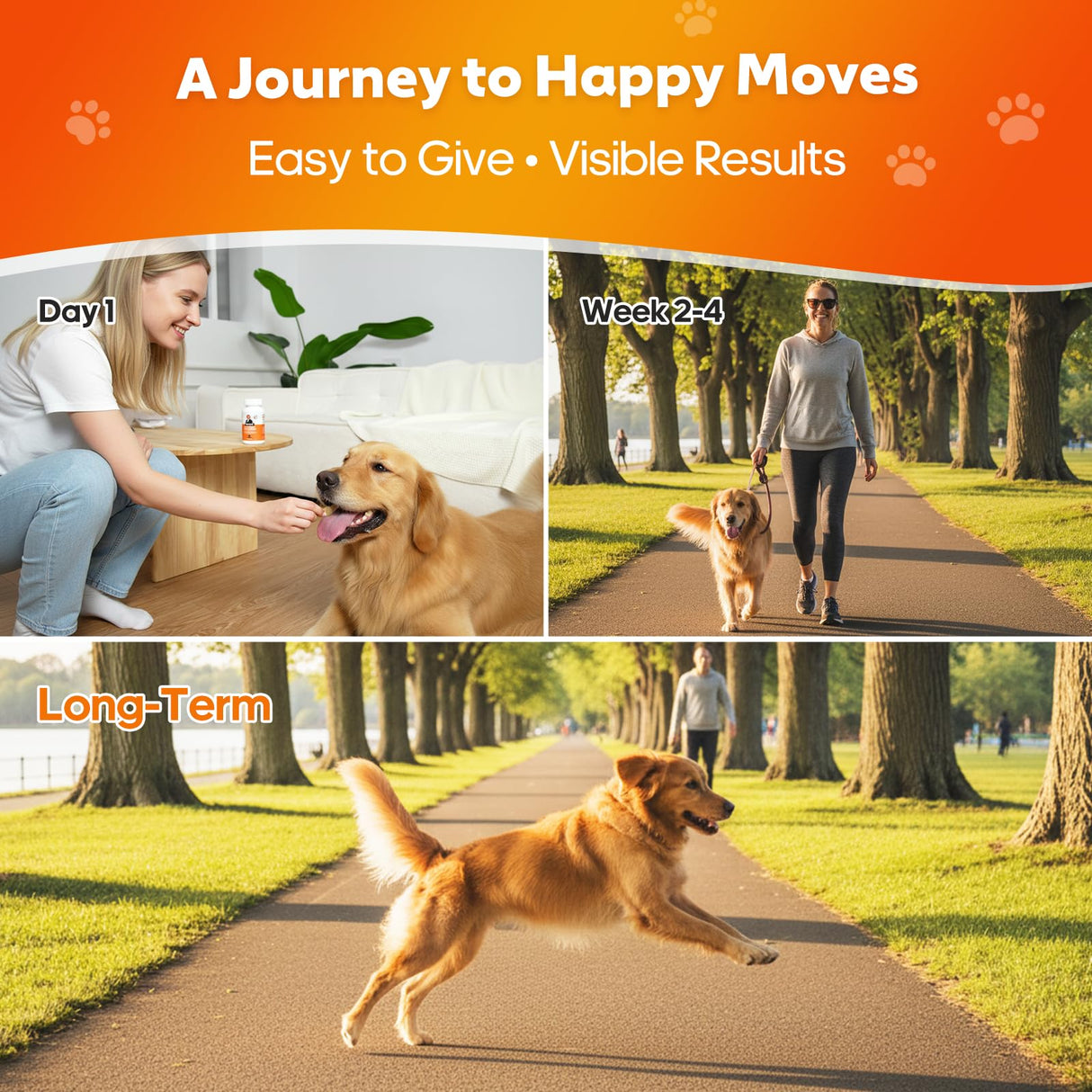 Whiskopia Hip and Joint Supplement for Dogs, Joint Pain Relief Supplement with MSM, Glucosamine, Chondroitin, Support Mobility, Health Chews for Dog, 120 Chews