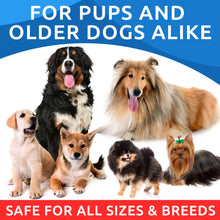 Load image into Gallery viewer, BARK&SPARK Omega 3 for Dogs - 180 Fish Oil Treats for Dog Shedding, Skin Allergy, Itch Relief, Hot Spots Treatment - Joint Health - Skin and Coat Supplement - EPA & DHA Fatty Acids - Alaskan Salmon