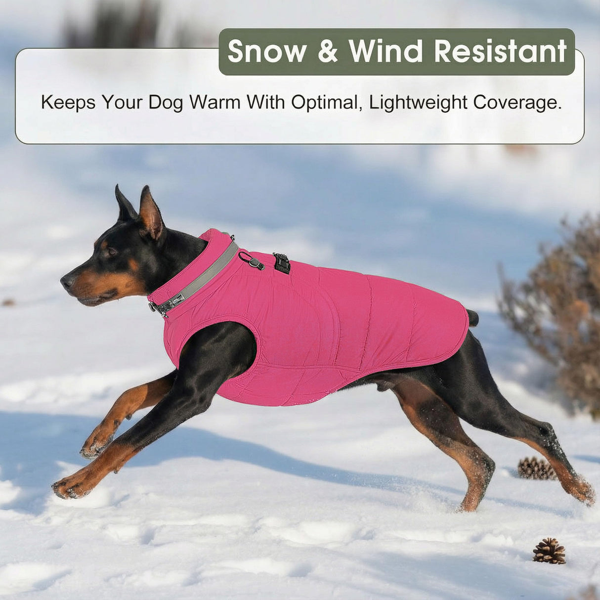 SAWMONG Dog Coat, Warm Dog Winter Coat, Waterproof Fleece Jacket, Cold Weather Dogs Jacket (M,Rosered)