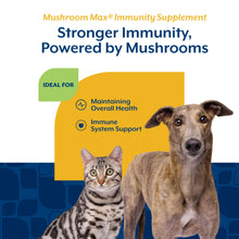Load image into Gallery viewer, NaturVet Mushroom Max Advanced Immune Support Dog Supplement – Helps Strengthen Immunity, Overall Health for Dogs – Includes Shitake Mushrooms, Reishi, Turkey Tail – 120 Ct.