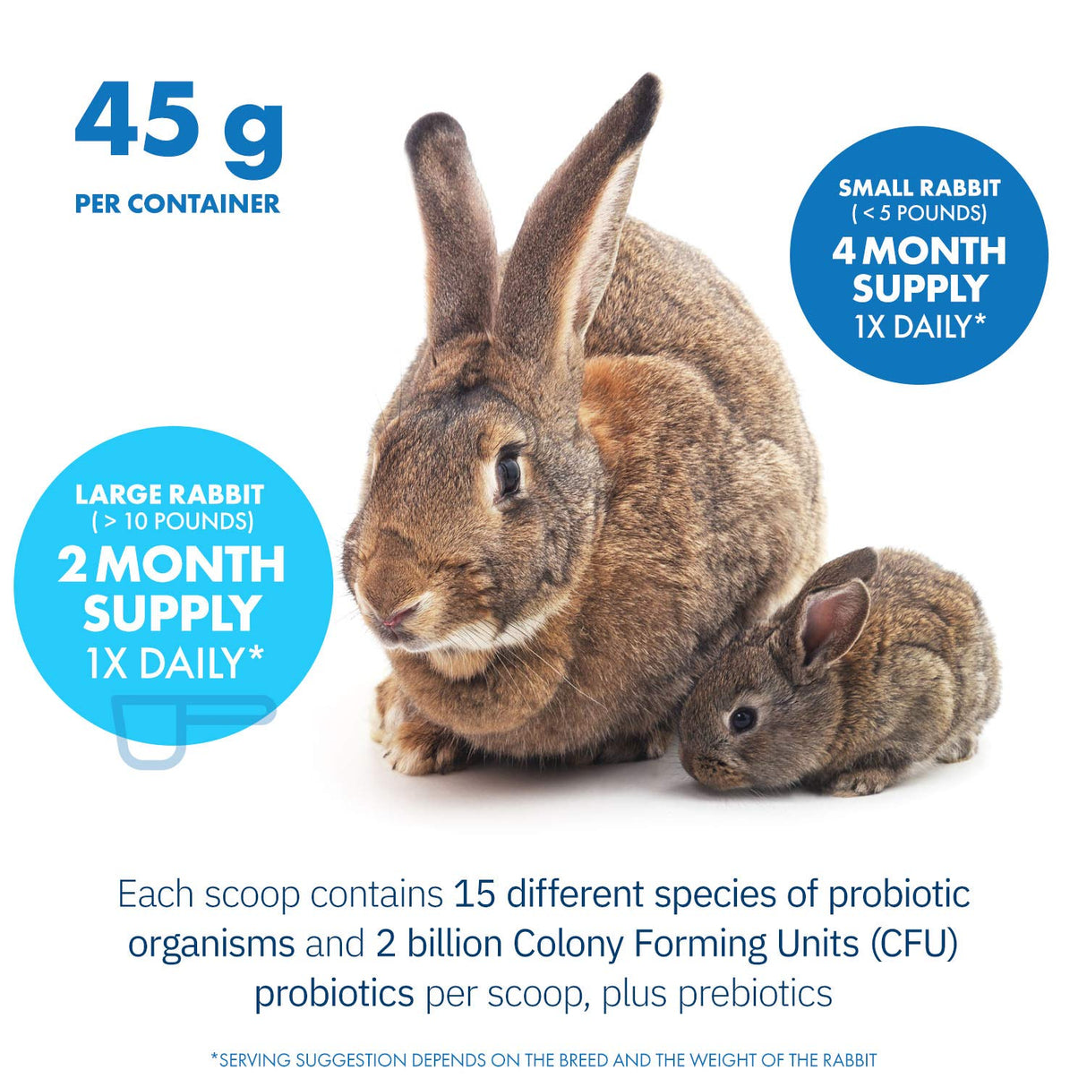 Equa Holistics HealthyGut Probiotics for Rabbits Dietary Supplement, All-Natural Digestive System Formula (120 Servings)