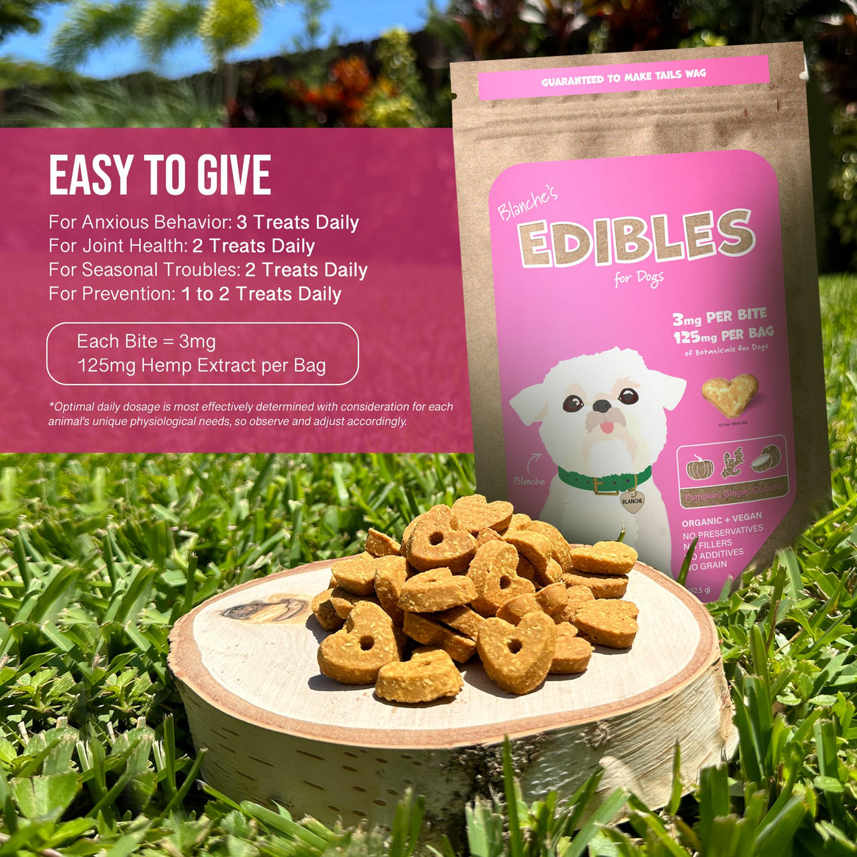 Hemp Dog Health Blanche - 42 Dog Calming Treats - Stress & Relaxation Support - Natural Vegan Hemp Calming Chews for Dogs with Coconut Oil