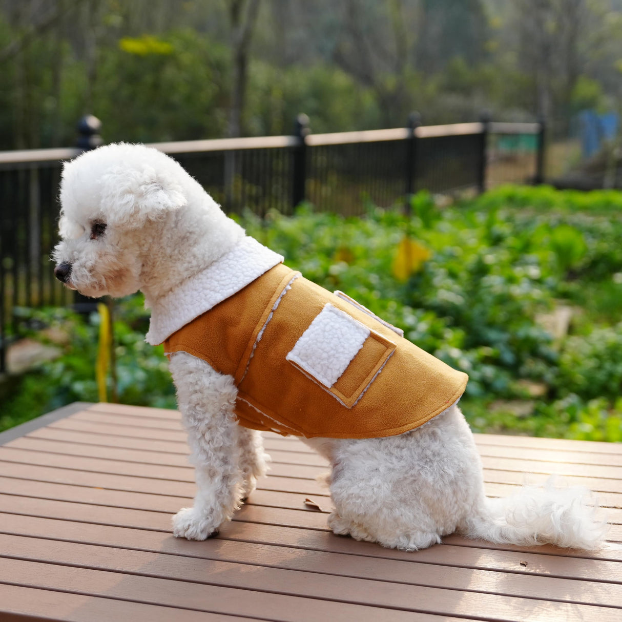 CHEERTAILS French Bulldog Clothes Frenchie Clothes, Snaps Closure Dog Winter Coat Jacket for Small Medium Dogs, Fleece Warm Dog Sweaters for Small Dogs Boy Girl,Beige,XL