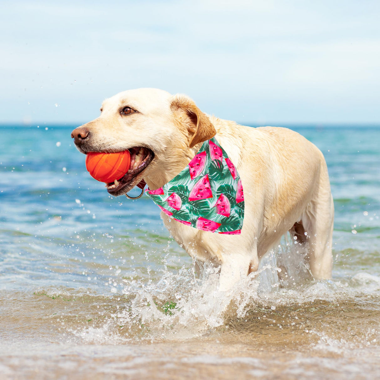 ADOGGYGO Summer Hawaii Dog Bandana, 6 Pack Flamingo & Fruit Pattern Triangle Summer Bandanas for Extra Large Dogs Pets (X-Large)