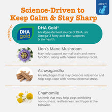 Load image into Gallery viewer, Zesty Paws Senior Advanced Calming & Cognition Soft Chews for Dogs - Supplements for Dog Brain Health & Nervous System Support + Calming & Relaxation -with Ashwagandha, DHA & Melatonin