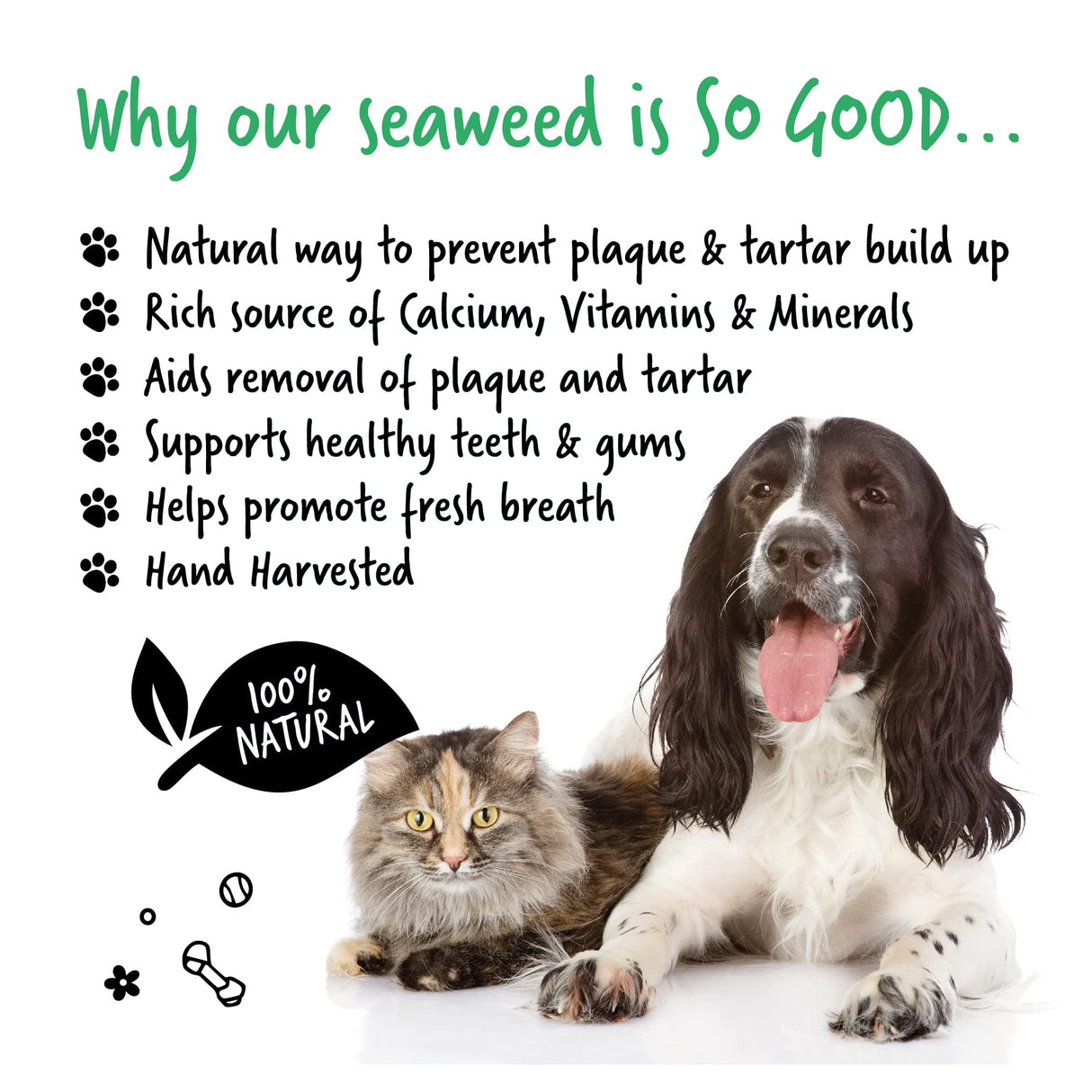 BUGALUGS Plaque Off Remover for Dog Teeth & Bad Breath 100% Natural | Plaque Off No Toothbrush or Dog Toothpaste | Remove Dog Bad Breath & Plaque Remover for Dogs & Cats (Dog 70g)