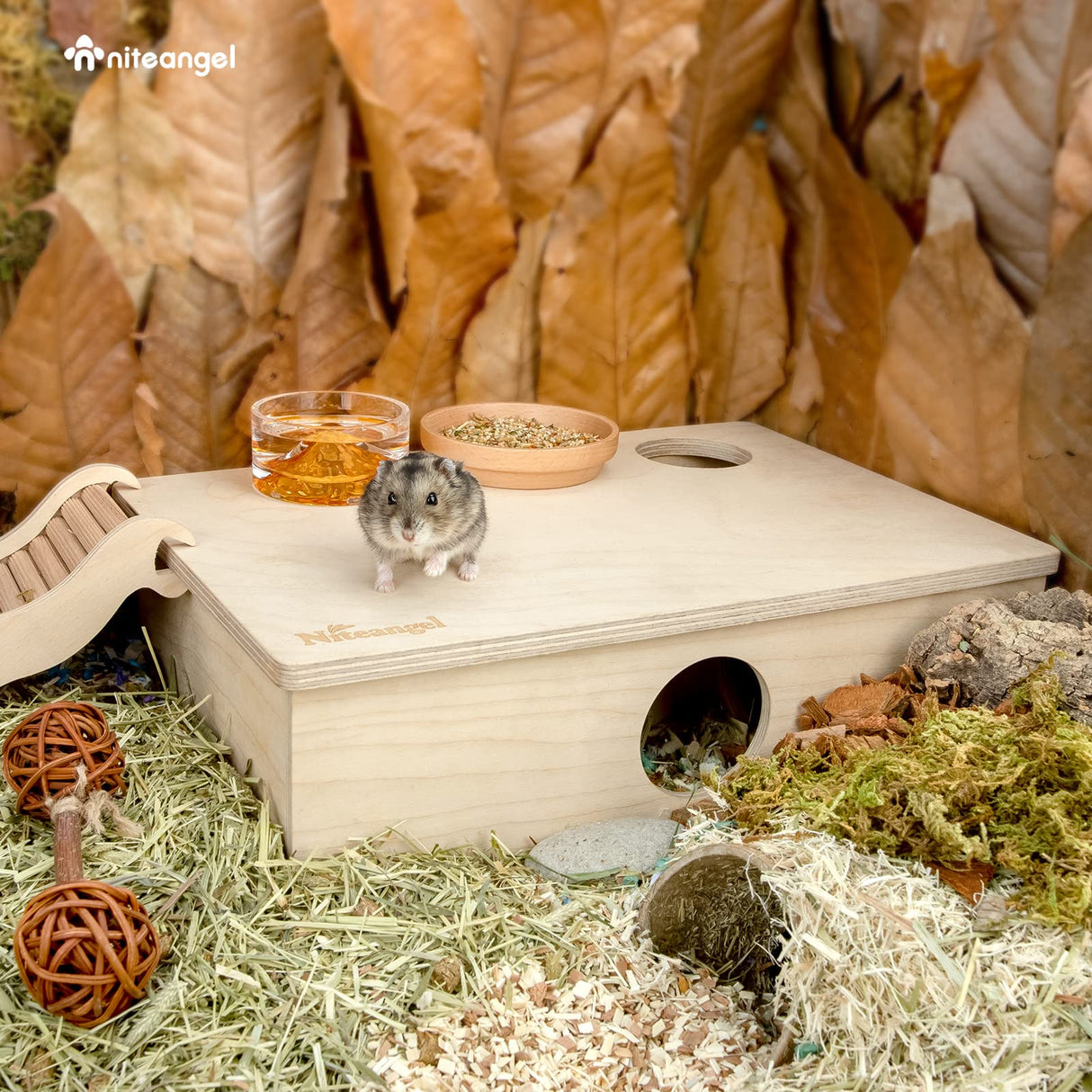 Niteangel Multi-Chamber Hamster House Maze: - Multi-Room Hideouts & Tunnel Exploring Toys for Hamster Gerbils Mice Lemmings (6-Room Small)