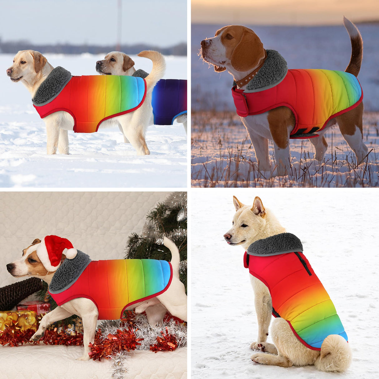 Petglad Dog Winter Coat, Waterproof Dog Jacket with Leash Hole, Reflective Adjustable Pet Snow Vest, Warm Fleece Sweater for Small Medium Large Dogs - Rainbow, S