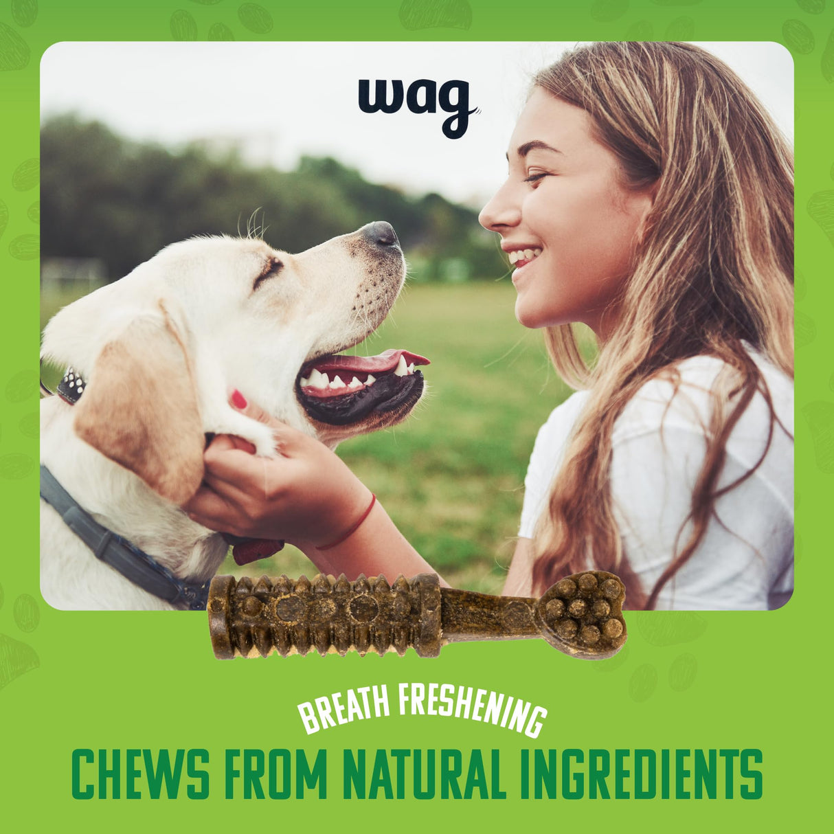 Wag Dental Dog Treats to Help Clean Teeth & Freshen Breath - Medium, Unflavored, 36 Count (Pack of 1)