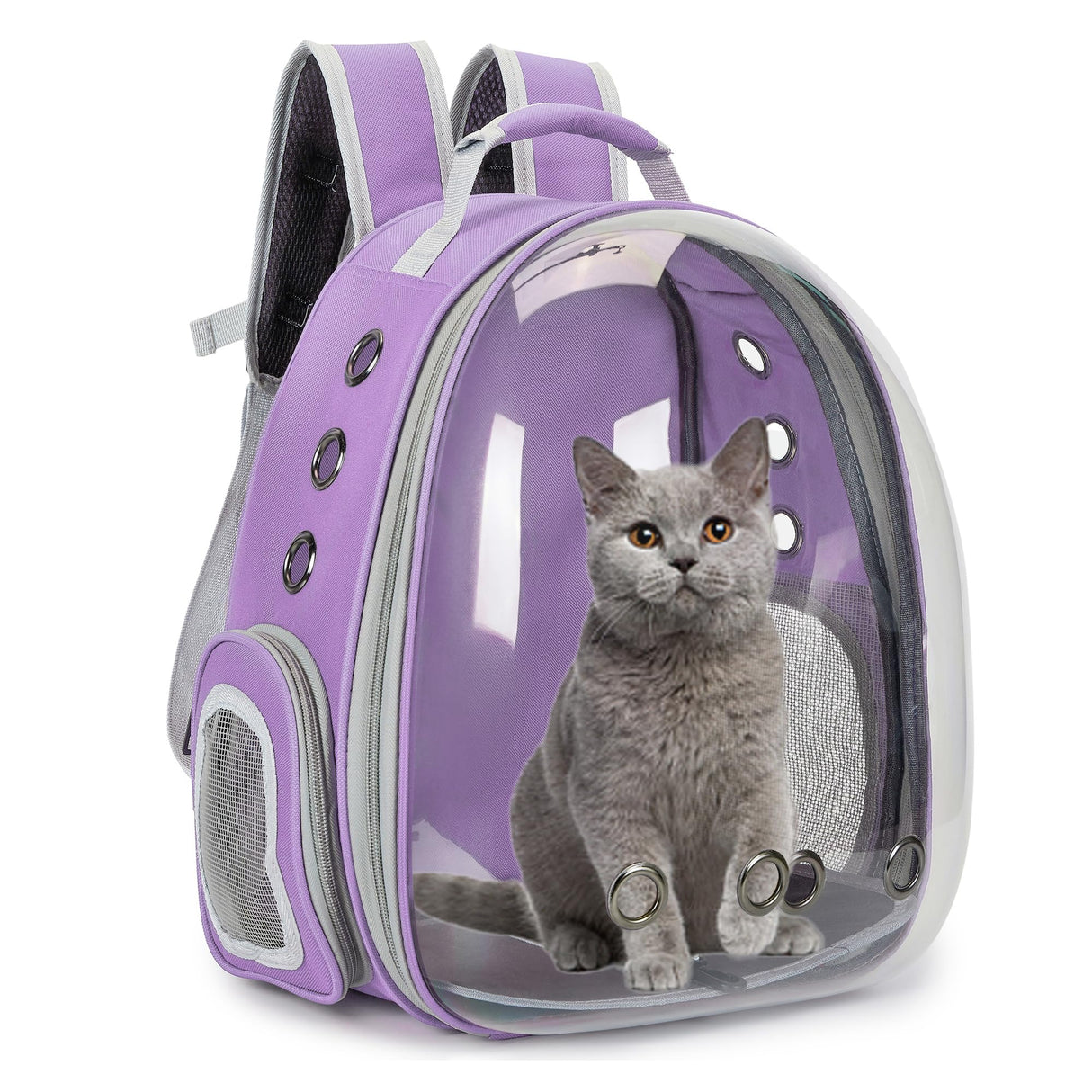 Cat Bubble Backpack Carrier for Small Medium Dogs Cats Carrying Bag, Airline Approved Pet Travel Carrying Bag Dog Hiking Walking Outdoor Backpack (Purple)