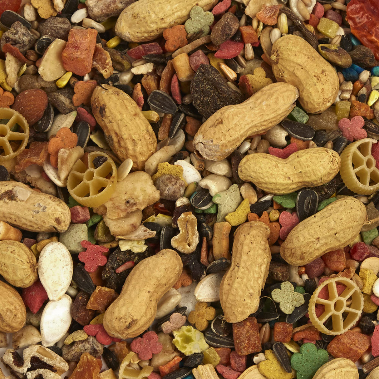 Tropical Carnival Small Hookbill Food – Gourmet Blend with Fruits, Nuts & Seeds, 10 Pounds, Omega 3 & Natural Preservatives, Supports Digestion