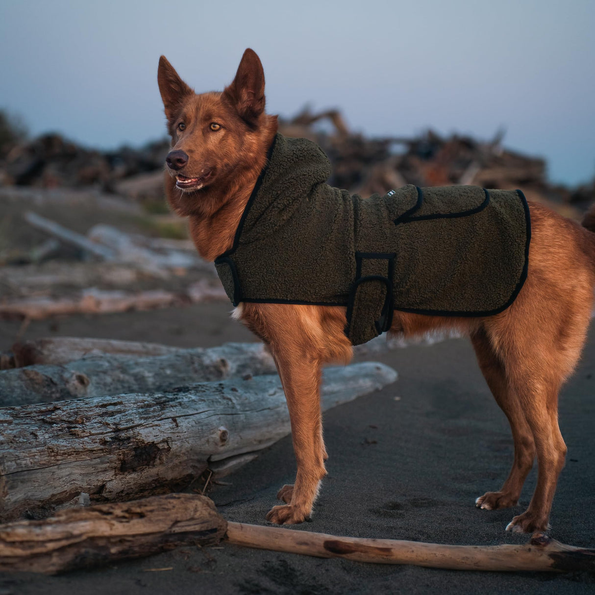 Wilderdog Double-Layered Hooded Sherpa Fleece Dog Jacket with Belly Strap, Leash Hole, Back Snap Pocket
