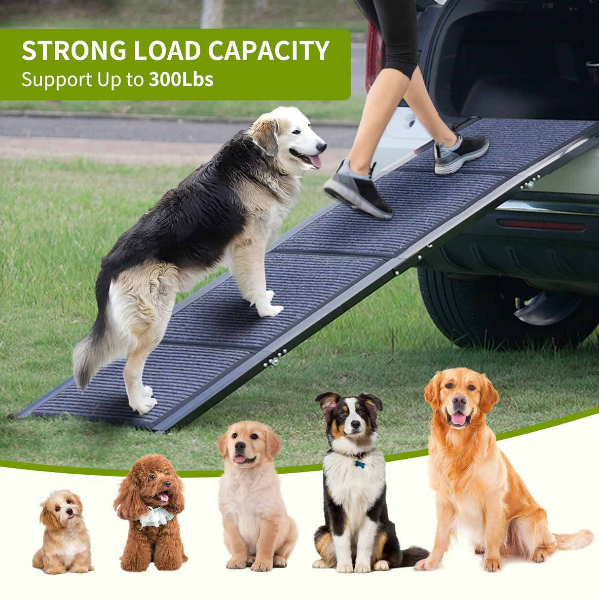Homfstyi Dog Ramp for Car, 71'' L x 20'' W Dog Ramps for Large Dogs, Extra Wide Pet Ramp with Non-Slip Surface for Medium & Large Dogs to Get in Car, SUV & Truck, Supports Up to 300 Lbs