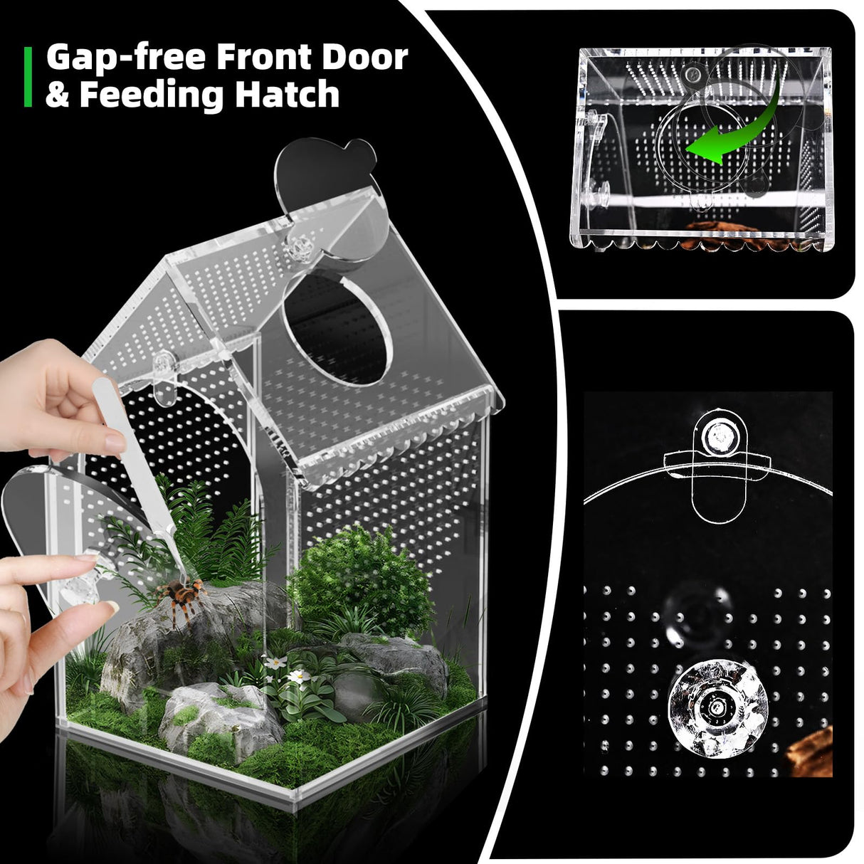 Cycodo Jumping Spider Enclosure,Warp-Proof Seamless Acrylic Tarantula Terrarium,Front Opening Bug Habitat with Feeding Port for Praying Mantis,Hermit Crabs,Snail,Micro Reptile(5" L*5" W*8" H)