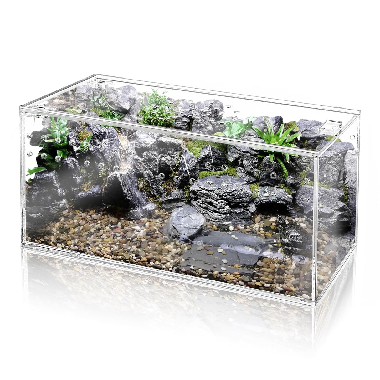 Tlence Acrylic Tarantula Enclosure Terrarium, 8" x 4" x 4" Small Magnetic Reptile Tank, Micro Spider Breeding Habitat Cage, Clear Ventilated Lizard Display Box for Hermit Crab Invertebrates Scorpion