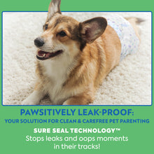 Load image into Gallery viewer, Out! PetCare Disposable Dog Diapers Male, Puppy Belly Band, Potty Training, Doggie Diapers, Belly Bands for Male Dogs, Puppy Training, Incontinence, (XS/S, 32ct)