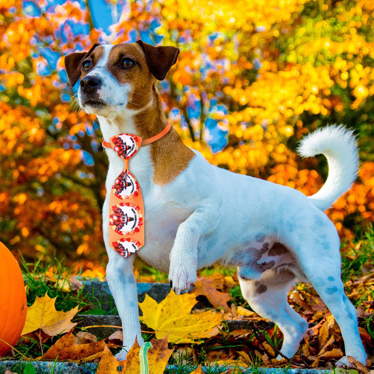 Eccliy 120 Pcs Thanksgiving Dog Bow Tie Bulk Fall Dog Grooming Bows Thanksgiving Adjustable Pumpkin Turkey Maple Leaves Pattern Pet Neckties for Small Medium Large Pet Cats