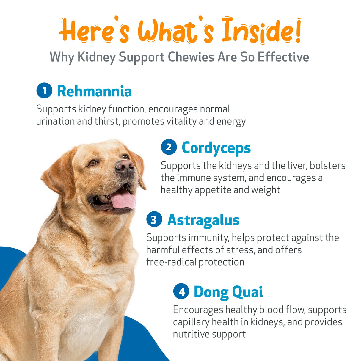 Pet Wellbeing Kidney Support Chewies for Dogs - Vet-Formulated - Supports Healthy & Stable Kidney (Renal) Function, Normal Fluid Balance & Energy Levels, Rehmannia, Astragalus - 90 Soft Chews