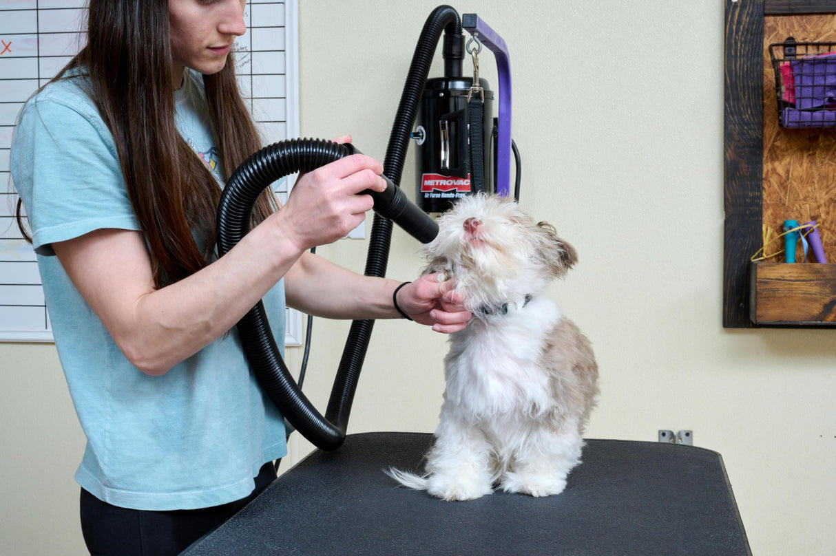 METROVAC Air Force Hands-Free High Velocity Dog Hair Dryer | Variable Speed Pet Grooming Blower with Heat and Adjustable Hose
