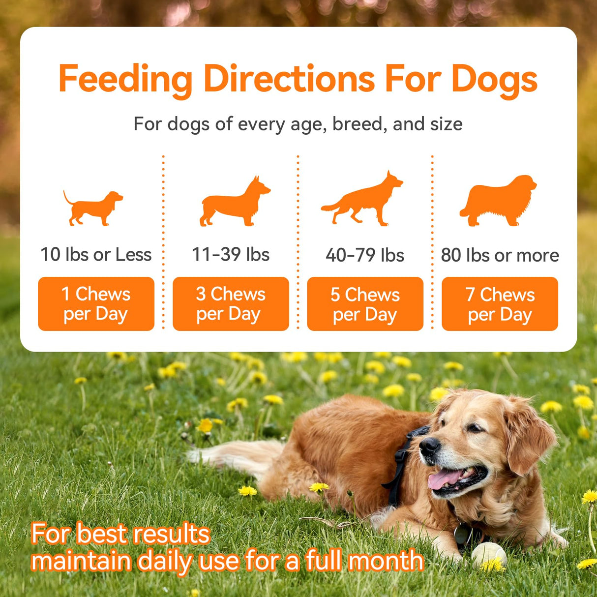 Dog Allergy and Immune Chews 200PCs Skin and Coat Itchy Relief Anti Itch Immune Bites for Dogs, Helps Repair Skin Ears Paw Licking, 5 Probiotics Blend Gut Health for Sensitive Seasonal Allergies