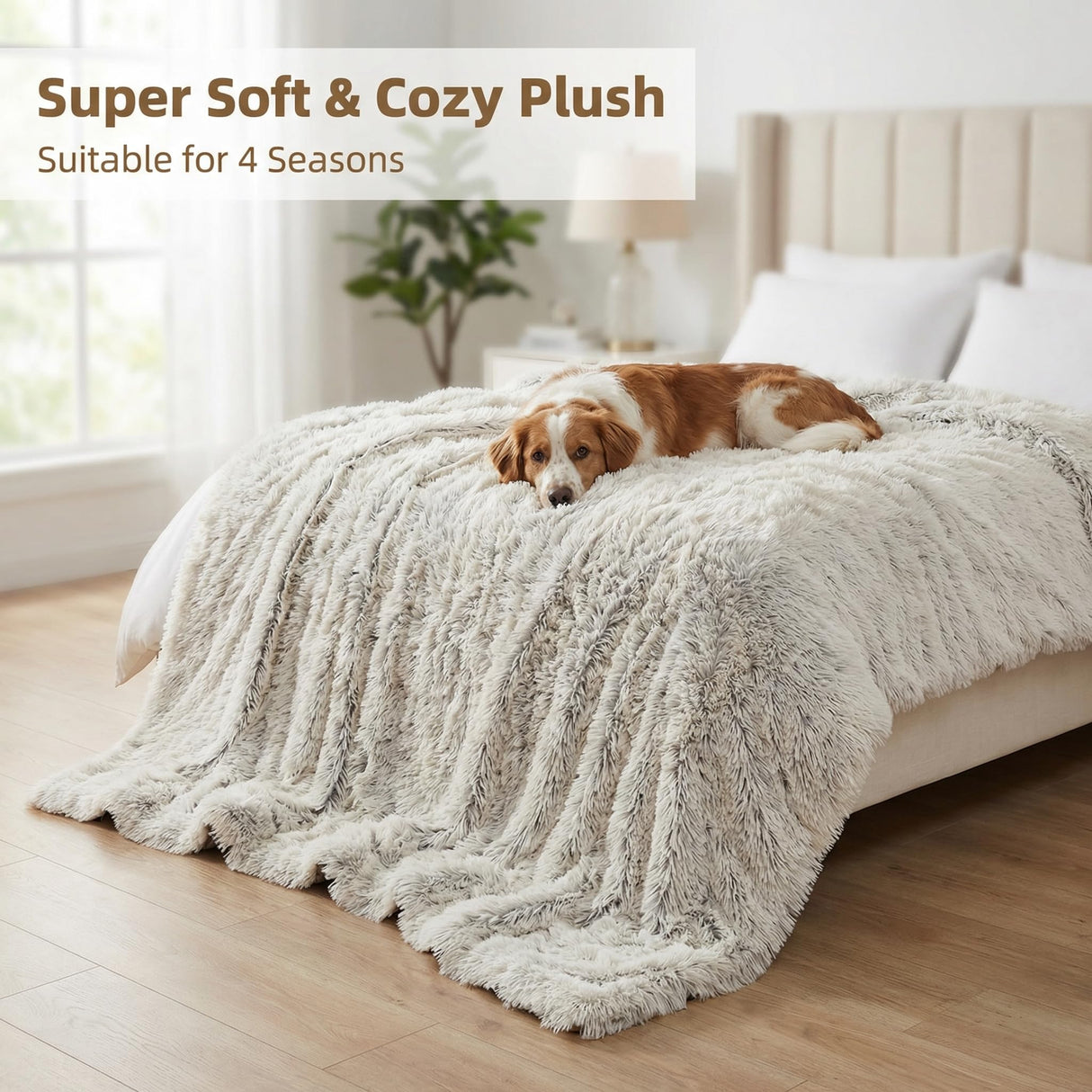 PJYuCien Dog Blankets for Medium Large Dogs Washable - Fluffy Fuzzy Cat Blanket for Couch, Puppy Throw for Furniture with Polyester Fleece, Super Soft Plush for Pet Kitten Doggy, Grey, 50" x 60"