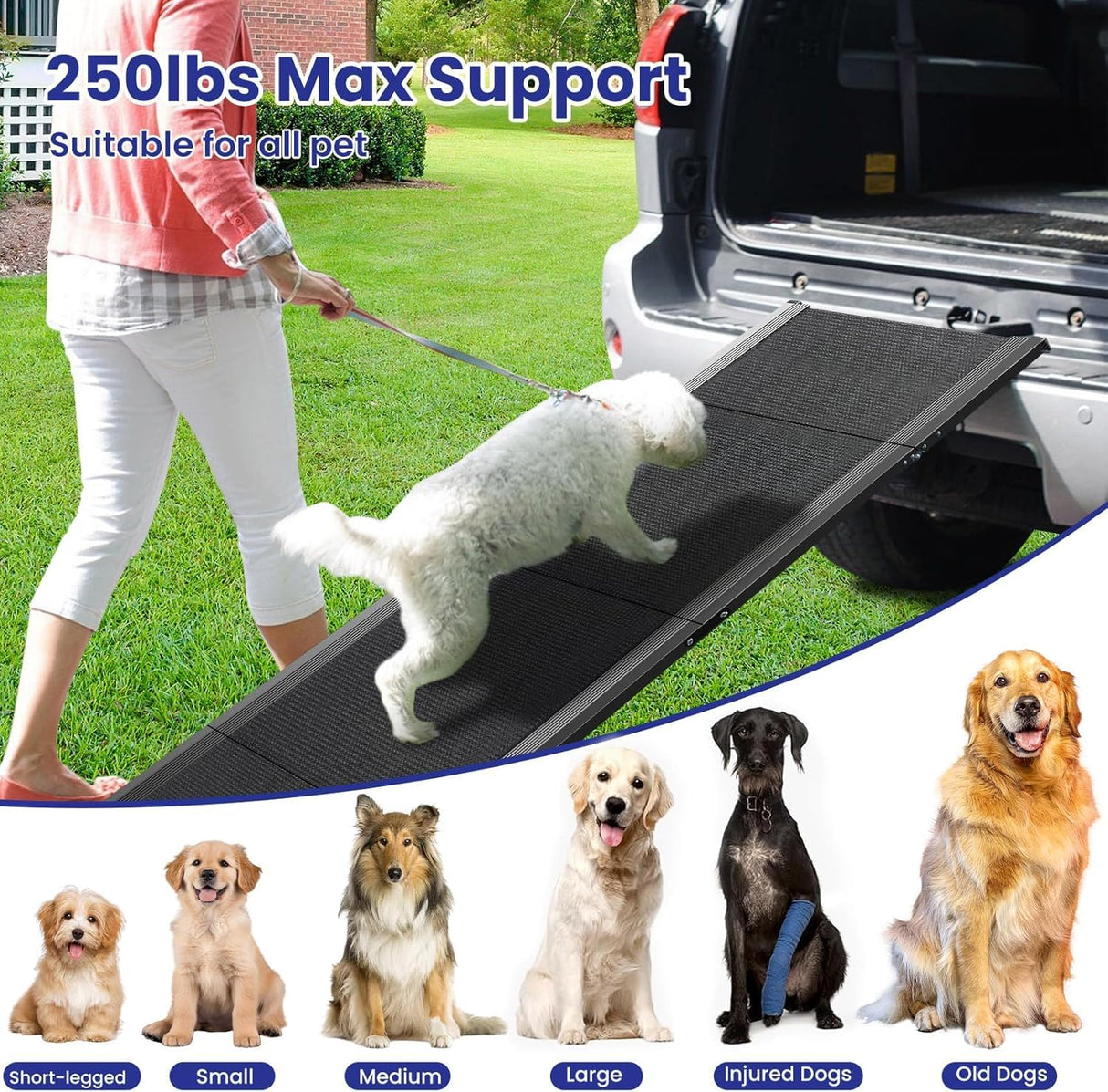 67''x 17'' Dog Ramp, Dog Ramp for Car, Folding Car Ramps for Pets, Dog Stairs Up to 250LBS, Pet Ramp with Non-Slip Rug Surface, Extra Long Dog Steps for Car, SUV, Truck