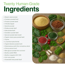 Load image into Gallery viewer, Human-Grade Superfood for Dogs, Premium Greens Powder Supplement for Dental Health, Longevity, Hip & Joint, Gut Health, Allergies, Immune Support, Skin & Coat - Peanut Butter - 3.5 oz