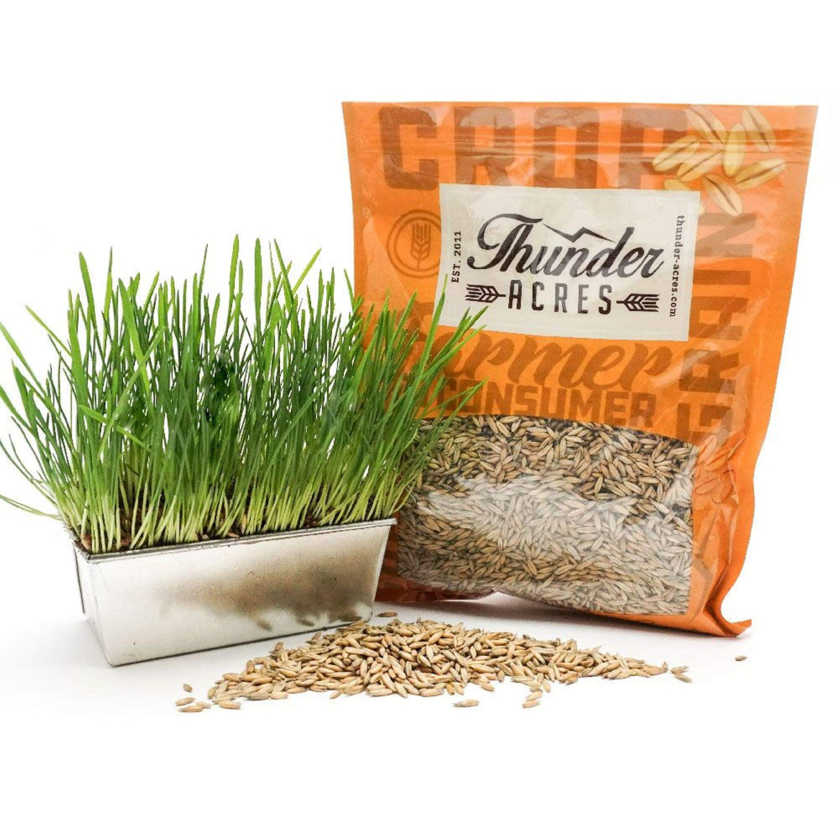 Thunder Acres Non GMO, Certified Organic, Oat Seed (5 lb.)