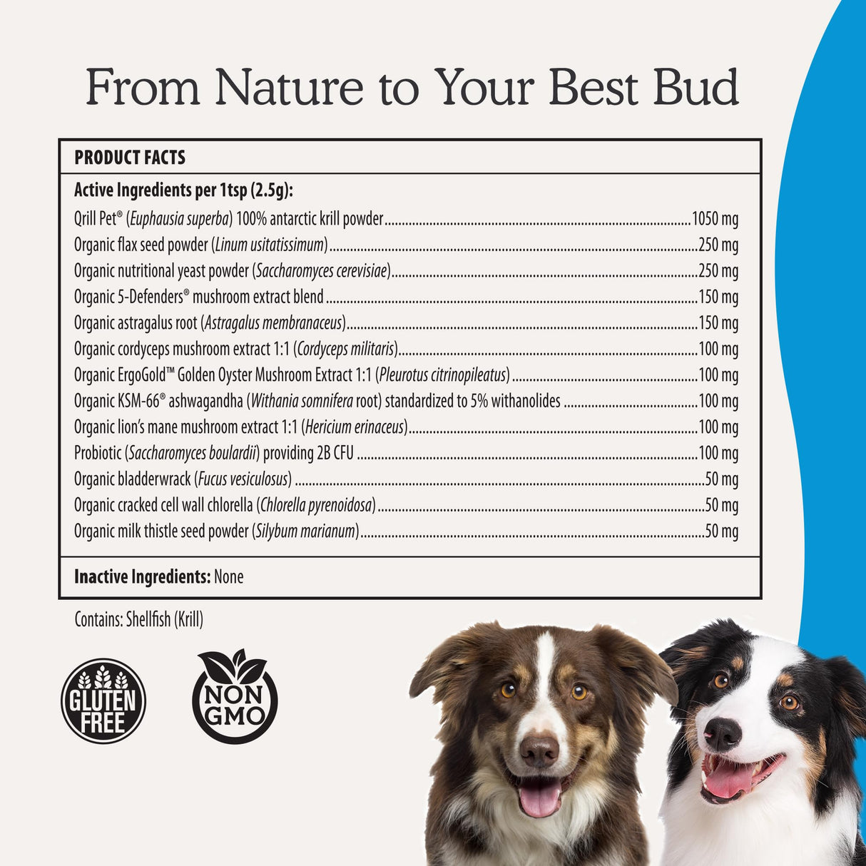 Real Mushrooms Whole Dog Health – Functional Mushroom Blend for Dogs with Lion’s Mane, Cordyceps, Turkey Tail, Reishi, Shiitake for Overall Wellbeing of Dogs – 2.65 oz Powder Supplement