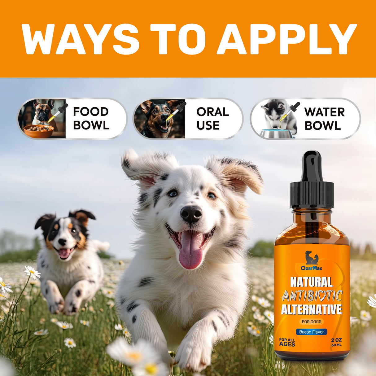 Dog Antibiotics for Infections, Allergies, Coughs β Natural Antibiotics for Dogs with Cranberry Provide Urination & Digestion Care β Natural Ingredients + Bacon Flavor β 2 Oz