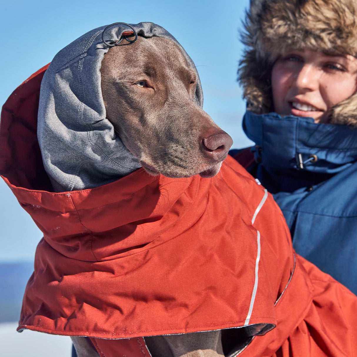 Hurtta Extreme Warmer III ECO, Cold Weather Winter Dog Coat, Eggplant, 22 in