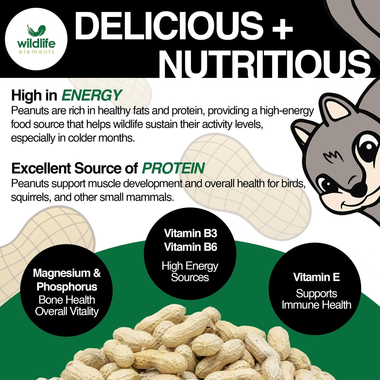 Wildlife Elements Peanut Party Unprocessed, Raw in-Shell Peanuts Wildlife Animal Food, 10lb - Rich in Protein, Healthy Fats, and Essential Nutrients for Birds, Squirrels and Waterfowl