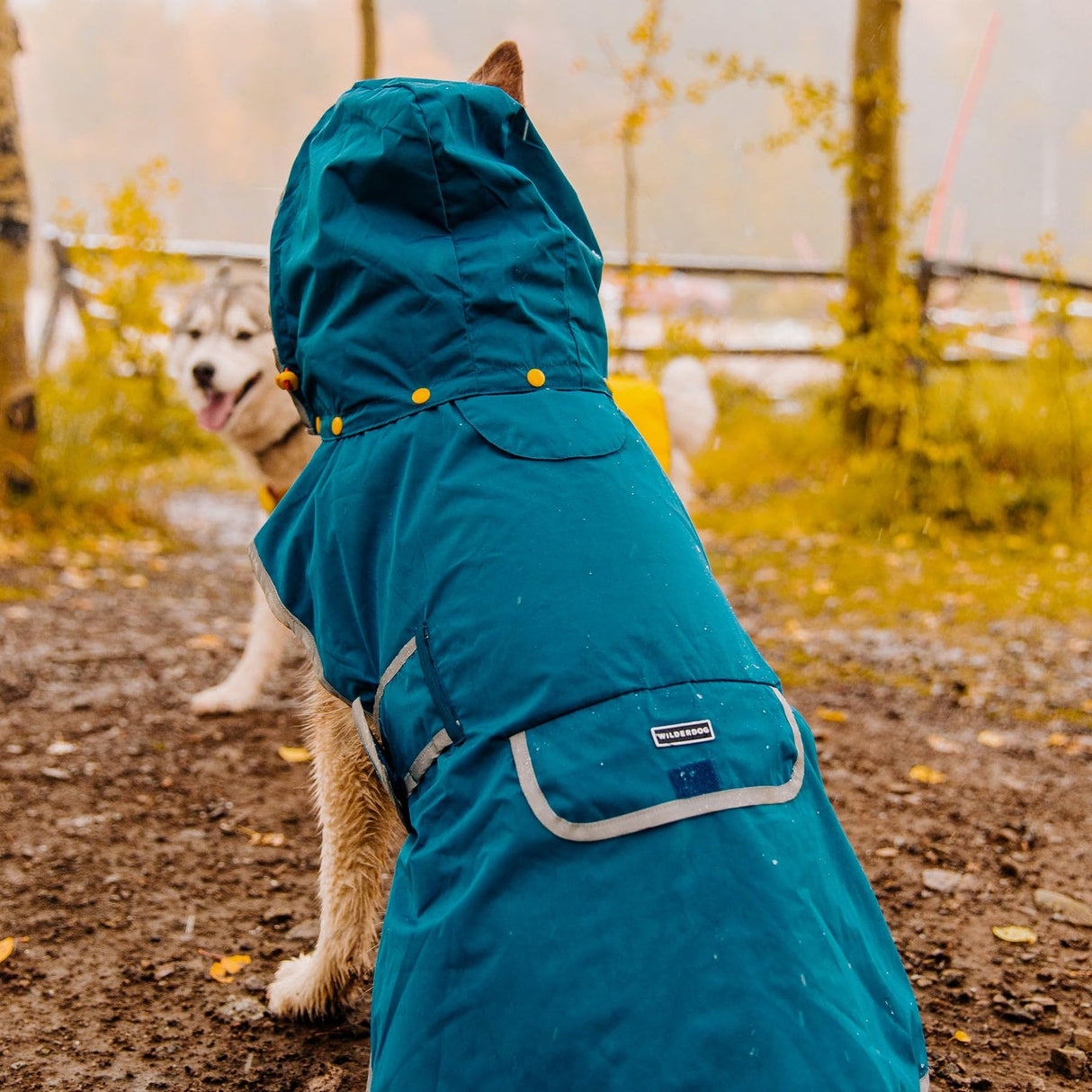 Wilderdog Dog Jacket Waterproof Raincoat with Breathable Interior, Removable Hood, Torso Strap, Secure Closures, Back Pocket and Two Hanging Loops, Foldable into Back Pocket