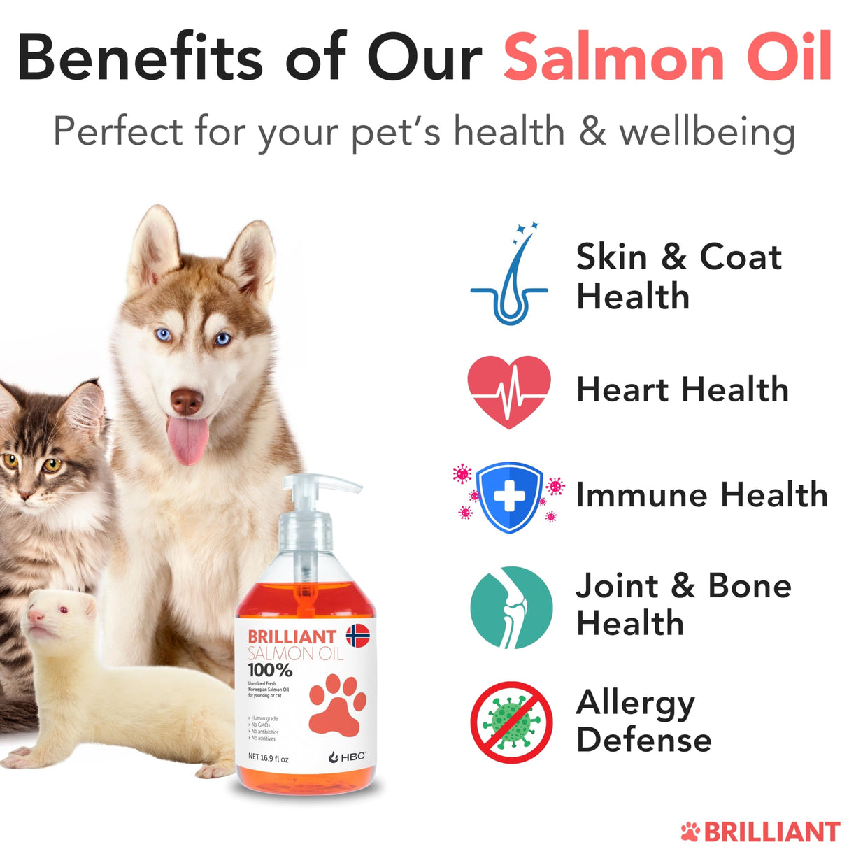 Salmon Oil for Dogs - Healthy Skin & Coat, Natural Norwegian Omega 3 Fish Oil Food Supplement, EPA & DHA Fatty Acids, Ideal for Shedding, Allergy, Itching, Dry Skin, Joint & Bone Health - (2 x 16.9oz)