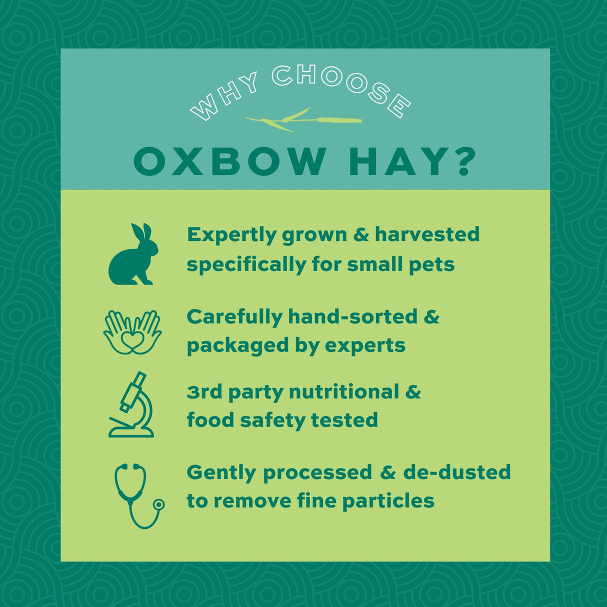 Oxbow Animal Health Orchard Grass, Guinea Pig Hay, Rabbit Hay, Small Pet Bunny Supplies, All Natural Grass for Guinea Pig, Bunny, Chinchilla & Hamster, Oxbow Rabbit Supplies for Bunnies, 9 lb. box
