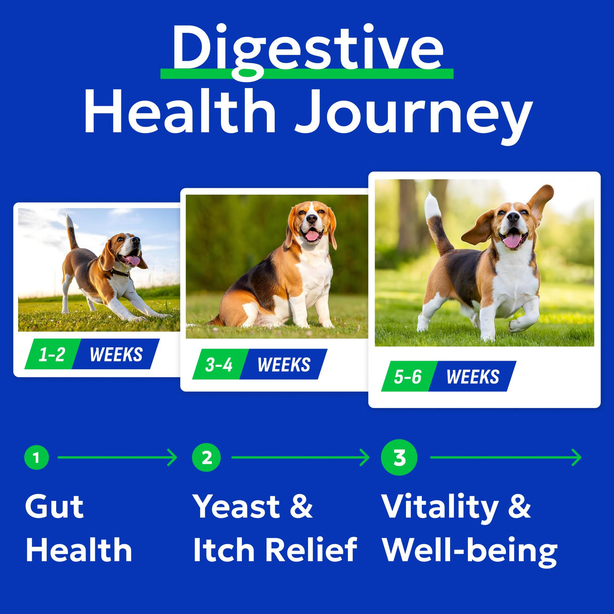 BARK&SPARK Dog Probiotics & Digestive Enzymes (Gut Health) Allergy & Itchy Skin - Pet Diarrhea Gas Treatment Upset Stomach Relief, Digestion Health Prebiotic Supplement Tummy Treat (180Ct Chicken)