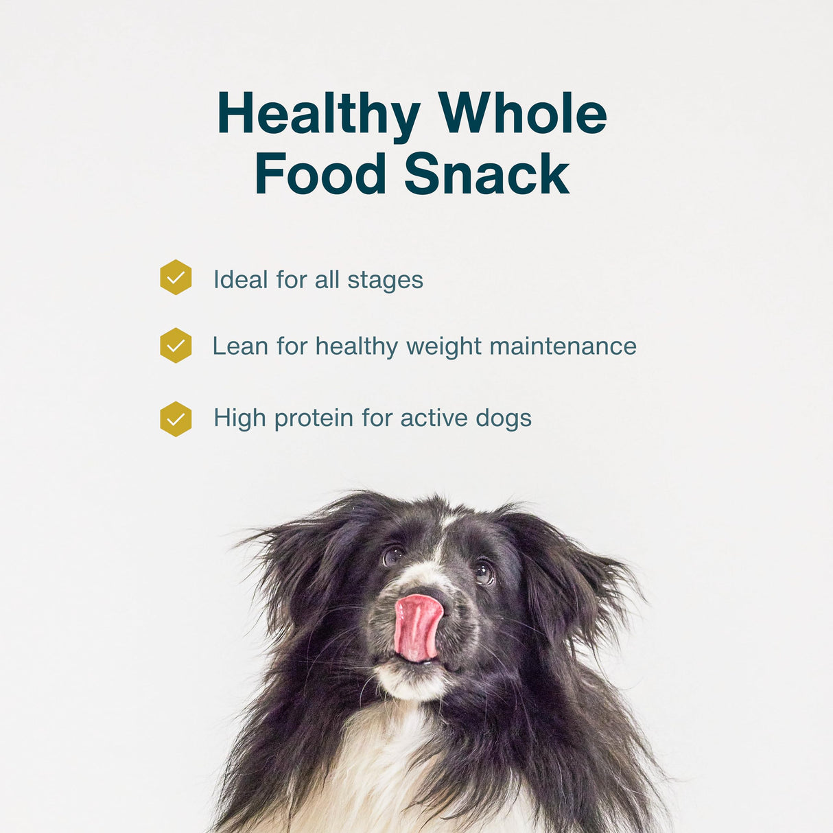JustFoodForDogs Healthy Dog Treats, Single-Ingredient, Chicken Breast, 5 oz