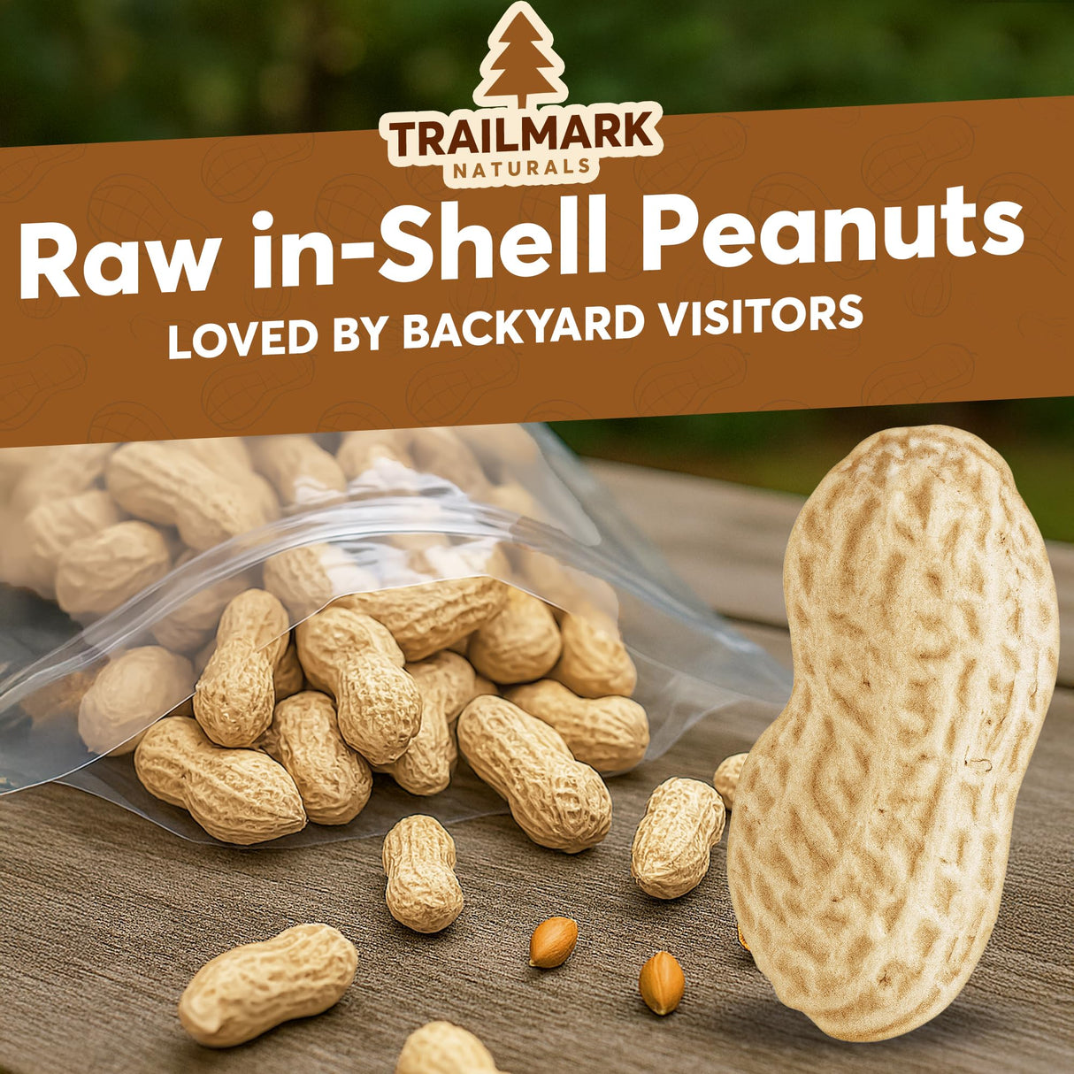 Trailmark Naturals - 10 LB - Raw Peanuts For Squirrels, Raw In Shell Peanuts For Birds and Wildlife- Squirrel Food, Wild Bird Seed - Grown in The USA