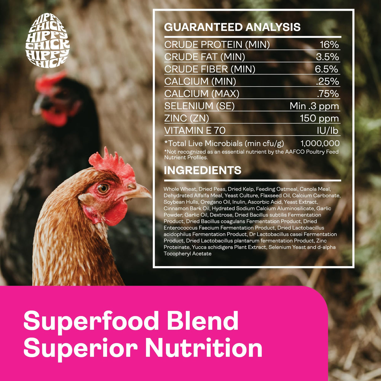 Chicken Probiotics & Vitamins – Immune Support and Stress Relief Supplement for Chicks and Adult Chickens – Digestive Health with Oregano & Garlic – Poultry Feed Additive – 1.5 lb